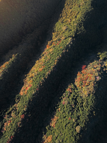 aerial view of a mountain crest