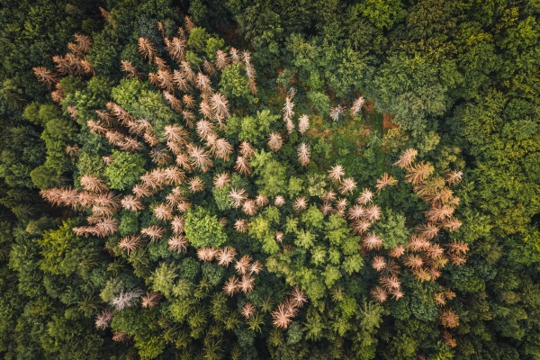 aerial view of a group of