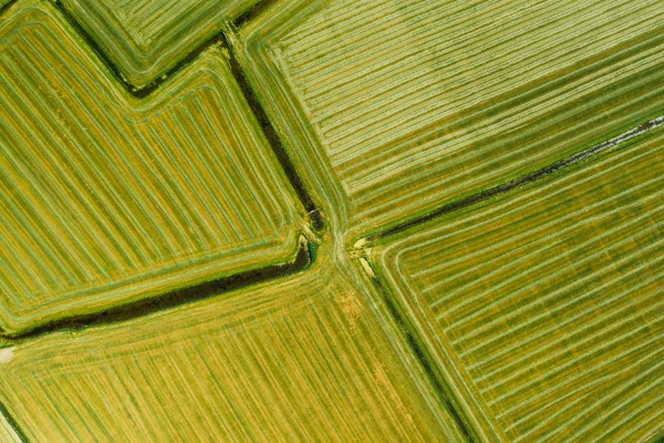 aerial view of farmland in friesland