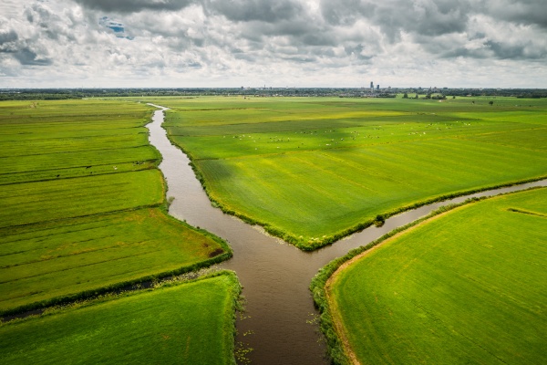 aerial view of canals through agricultural