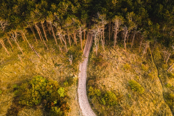 aerial view of a path going