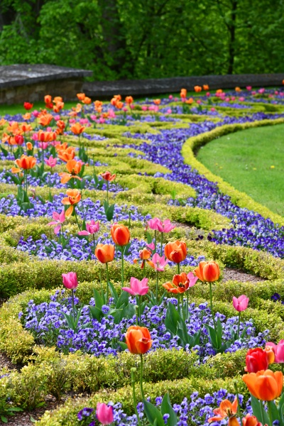 colorful flowerbed in the altenstein castle