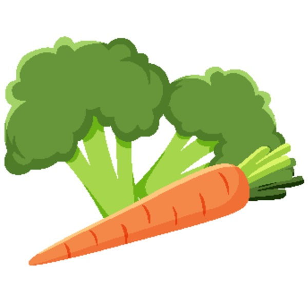 broccoli and carrot vegetable on white