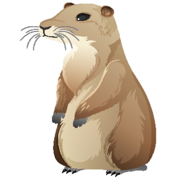 animal cartoon character of prairie dog