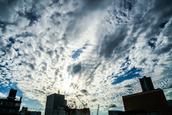 yokohama minato mirai skyline silhouette
