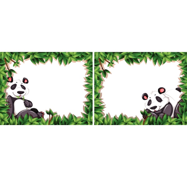 set of panda frame