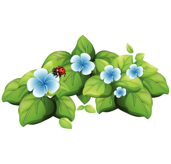 blue flower and ladybug