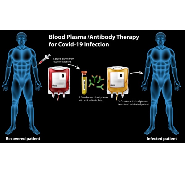 blood plasma antibody therapy for covid