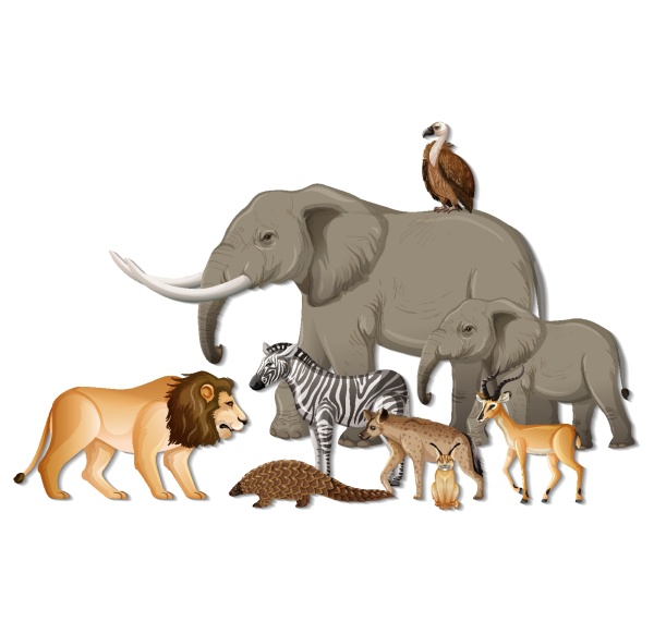 group of wild african animals on