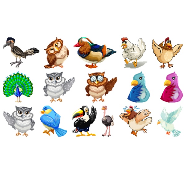 set of different birds cartoon style