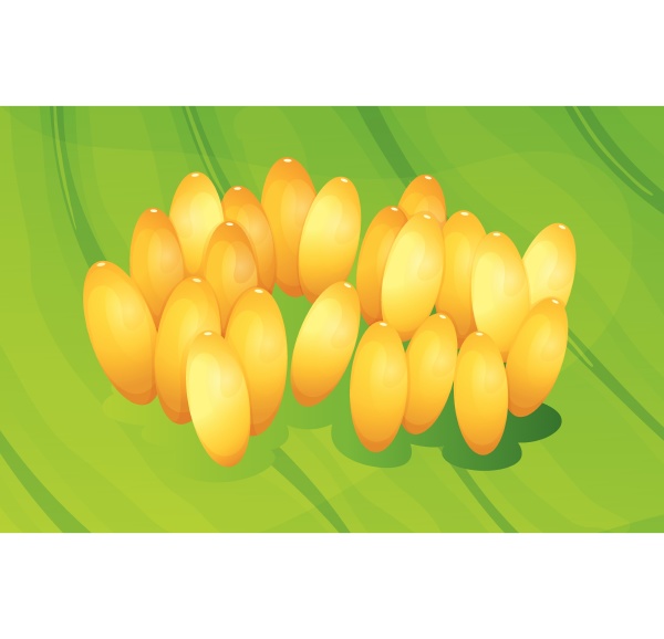Media-id 30329607