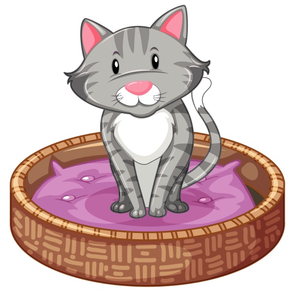 gray cat in basket
