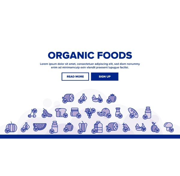 organic foods vector thin line icons