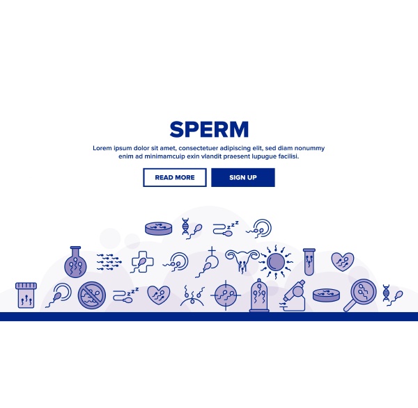 sperm cells vector thin line icons