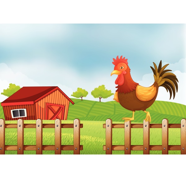 a, rooster, above, the, fence - 30347601