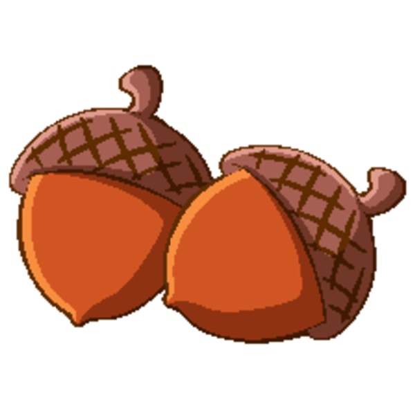 two acorns on white background