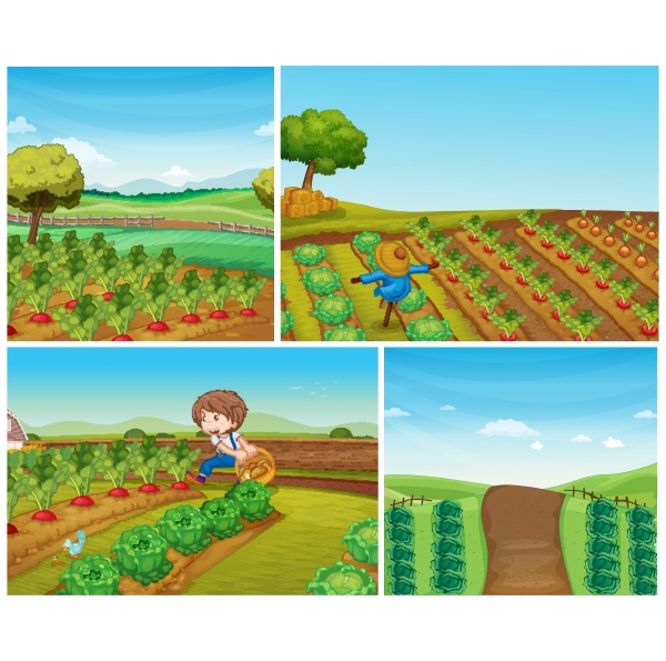 four farm scenes with vegetables and