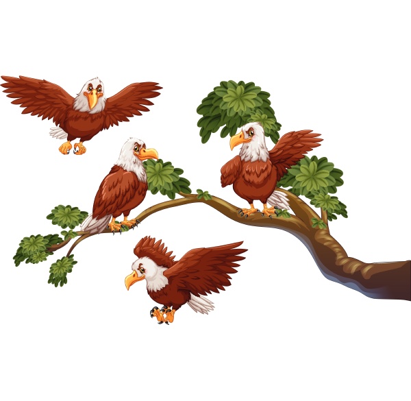 four eagles on the branch