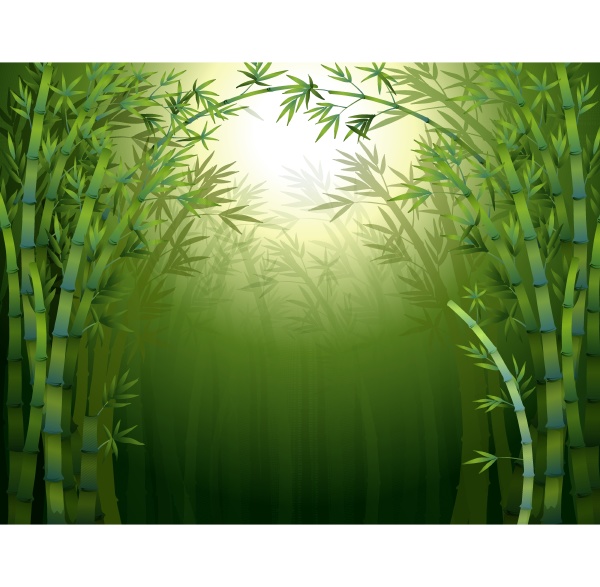 a dark bamboo forest