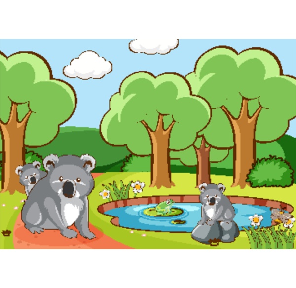 scene with koala in the park