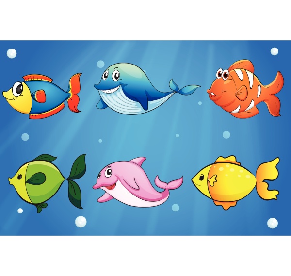 six colorful and smiling fishes under