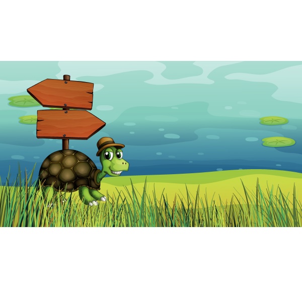 a turtle near the wooden arrow