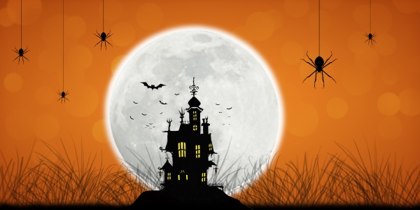 halloween concept in fantasy night