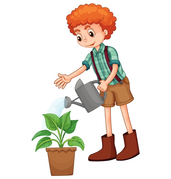 boy watering the plant