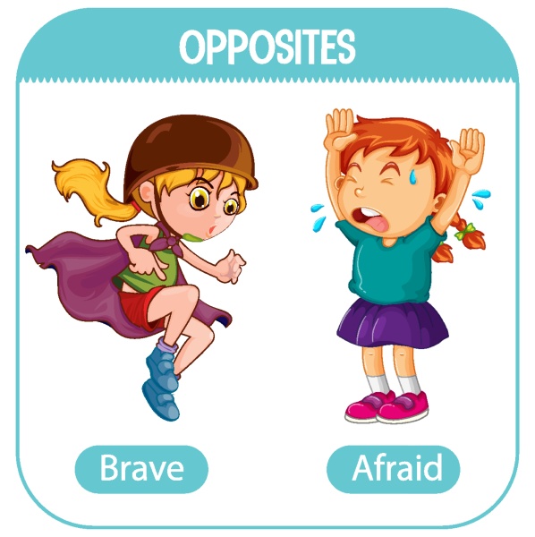opposite words with brave and afraid