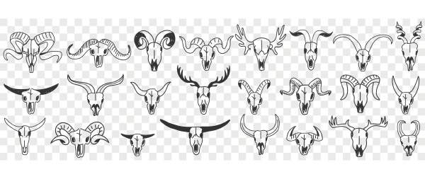 buffalo horns as decorations doodle set
