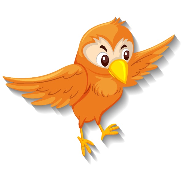 cute orange bird cartoon character