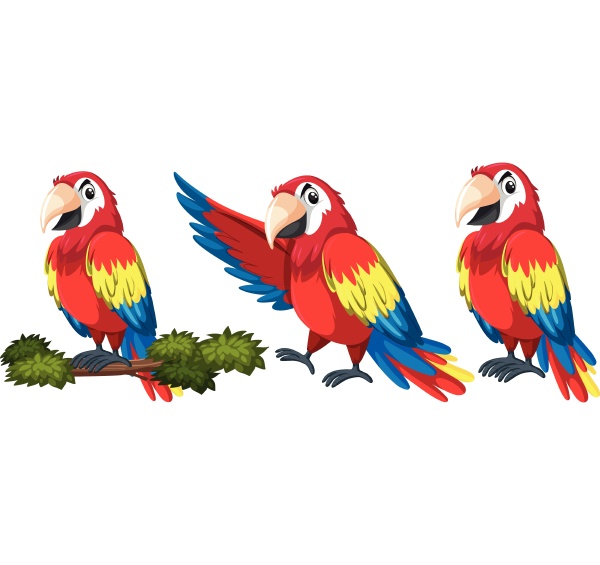 set of parrot character