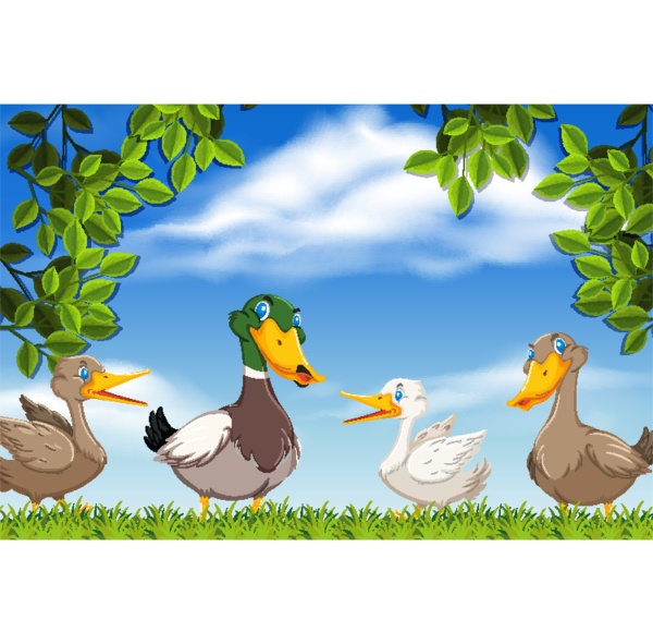 ducks in nature scene