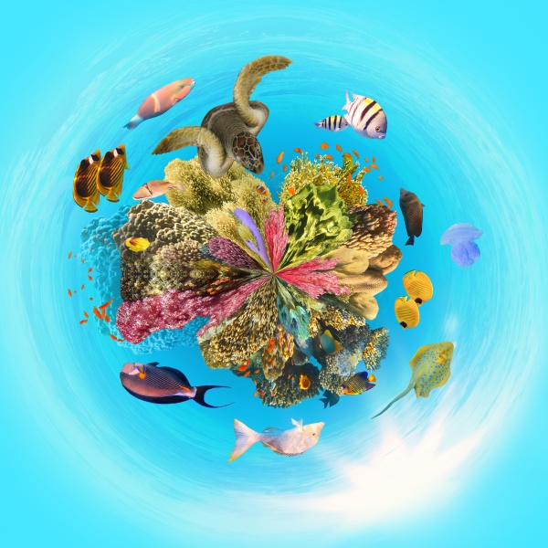 underwater, paradise, background, coral, reef, wildlife - 30513174