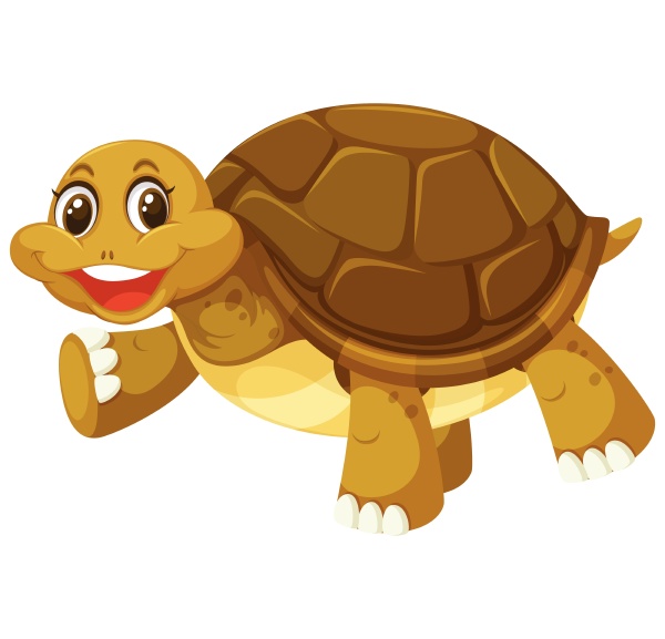 a smiley turtle on white background