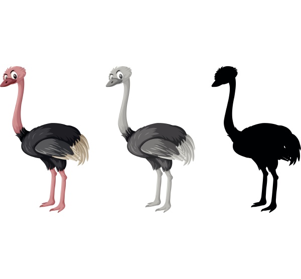set of ostrich character