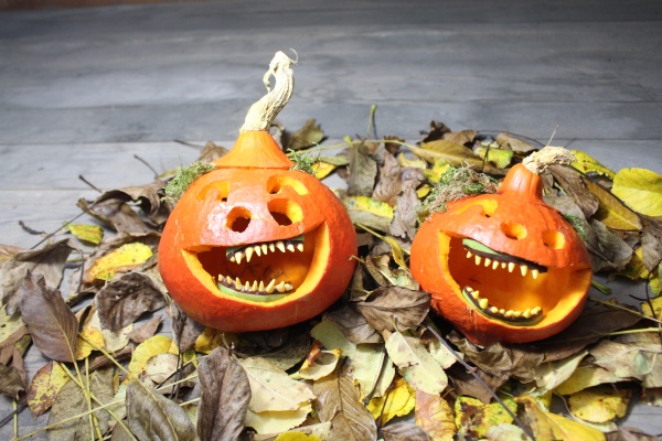laughing pumpkins on autumn leaves