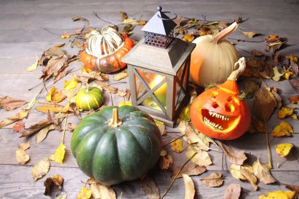 funny pumpkin and a lantern