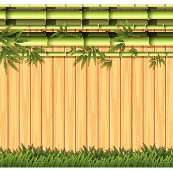 bamboo and wooden fence concept
