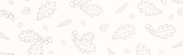 white background with many autumn foliage