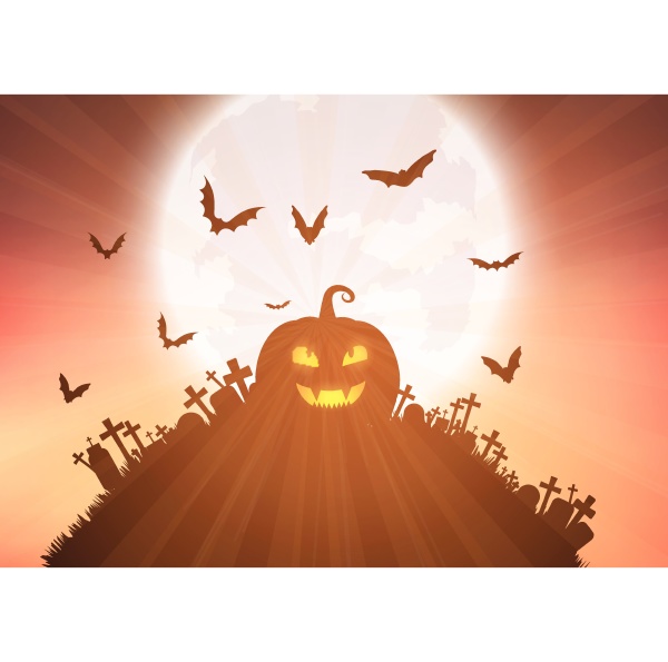 halloween pumpkin background 1208