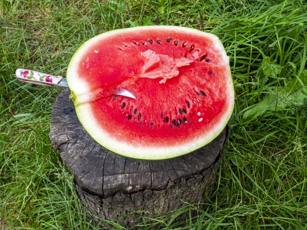 red watermelon with seeds cut with