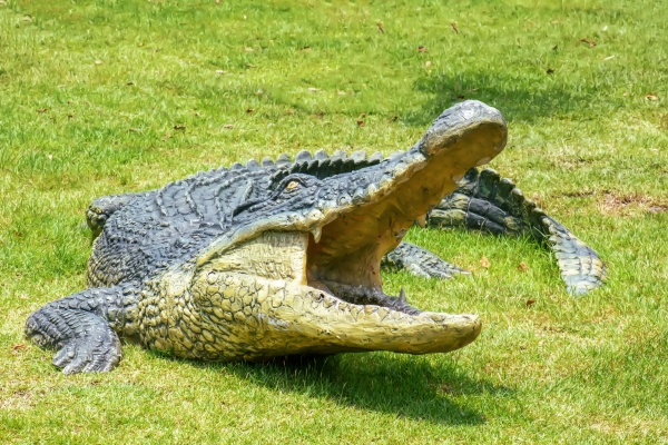crocodile resin