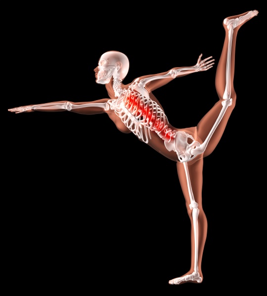 female skeleton in yoga position