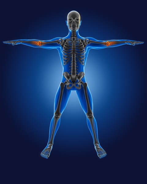 3d medical man with skeleton