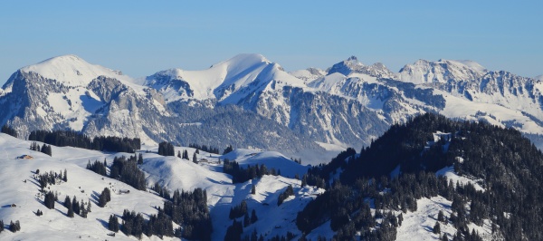 winter landscape seen from horneggli
