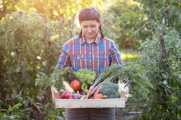 fresh vegetables in woman hands on