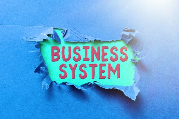 text caption presenting business system