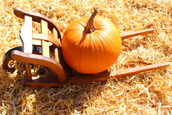 rustic pumpkin decoration