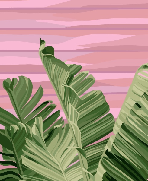 banana leaves on a pink background